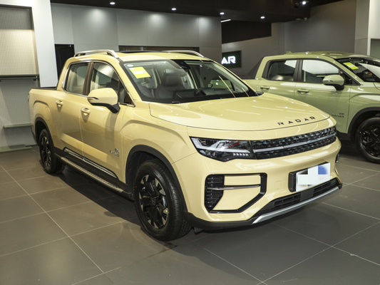 Geely RD6 καθαρό ηλεκτρικό φορτηγό 4 πόρτες 5 καθίσματα δομή σώματος Συμπεριλαμβανομένου συστήματος ABS