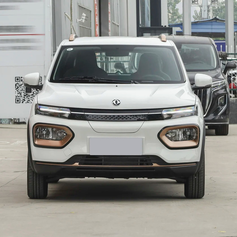 Το Nammi BoxEV Light Wind Version Standard Model Βραχύτητα μπαταρίας 201KM Κινέζικο οικογενειακό αυτοκίνητο SUV